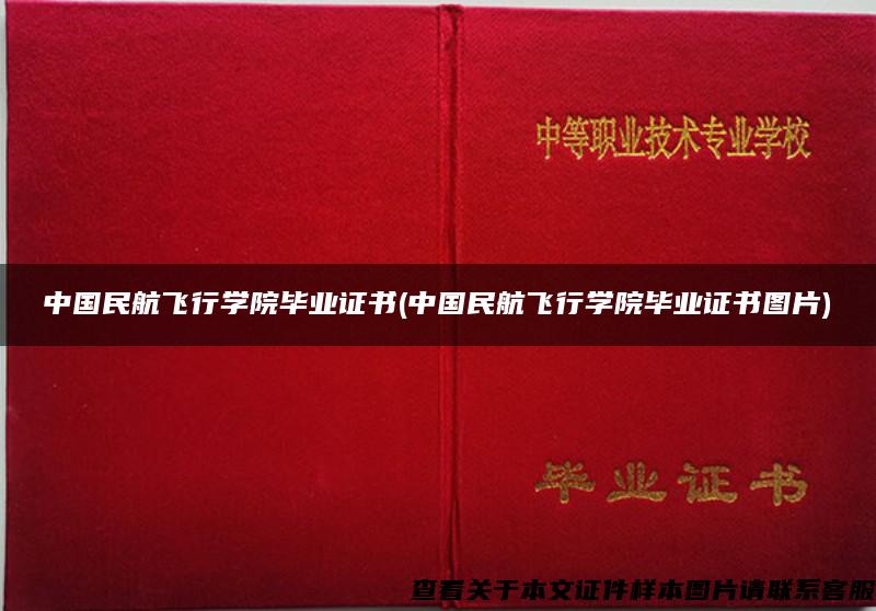 中国民航飞行学院毕业证书(中国民航飞行学院毕业证书图片)