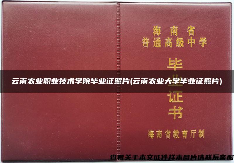 云南农业职业技术学院毕业证照片(云南农业大学毕业证照片)