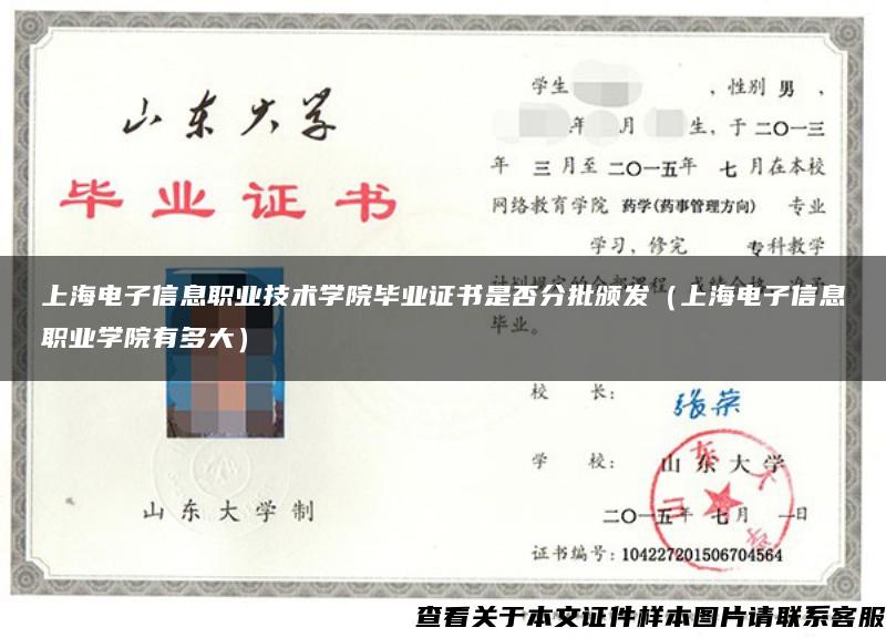 上海电子信息职业技术学院毕业证书是否分批颁发（上海电子信息职业学院有多大）