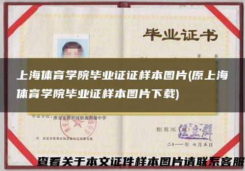 上海体育学院毕业证证样本图片(原上海体育学院毕业证样本图片下载)