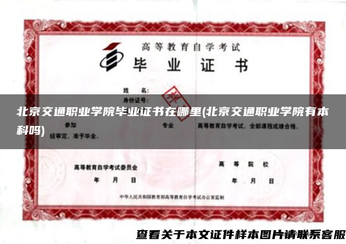 北京交通职业学院毕业证书在哪里(北京交通职业学院有本科吗)