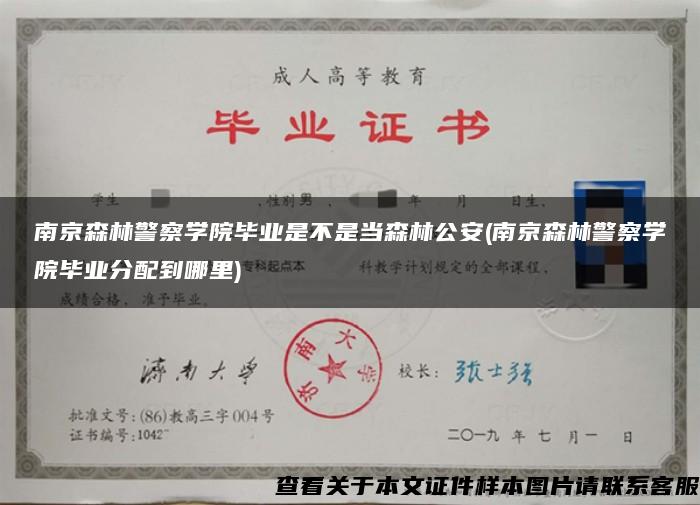南京森林警察学院毕业是不是当森林公安(南京森林警察学院毕业分配到哪里)