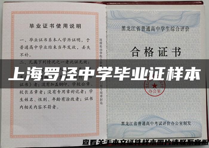上海罗泾中学毕业证样本