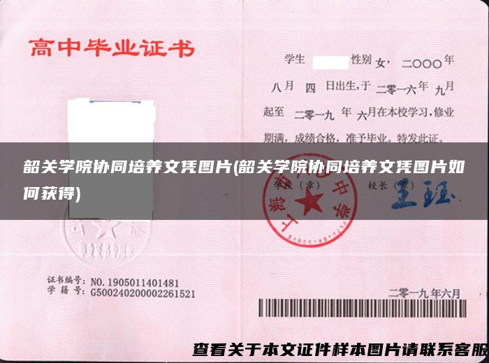 韶关学院协同培养文凭图片(韶关学院协同培养文凭图片如何获得)