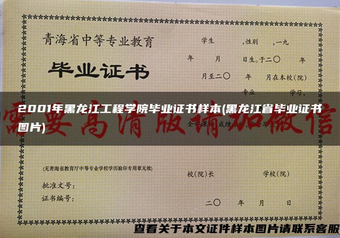 2001年黑龙江工程学院毕业证书样本(黑龙江省毕业证书图片)