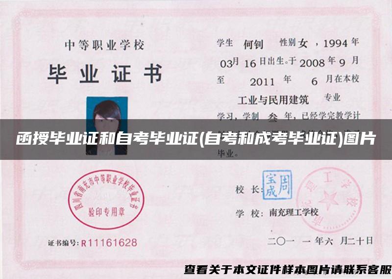 函授毕业证和自考毕业证(自考和成考毕业证)图片
