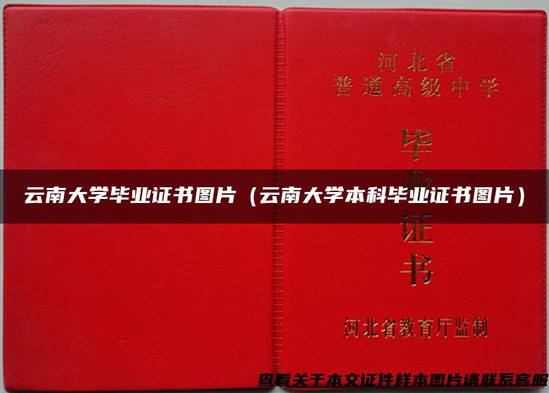 云南大学毕业证书图片（云南大学本科毕业证书图片）