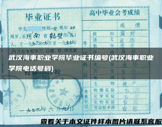 武汉海事职业学院毕业证书编号(武汉海事职业学院电话号码)