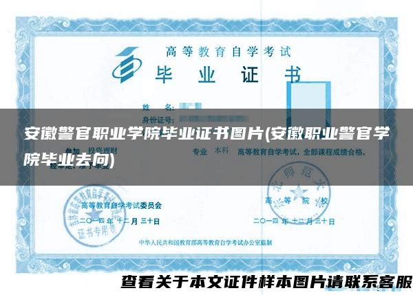 安徽警官职业学院毕业证书图片(安徽职业警官学院毕业去向)