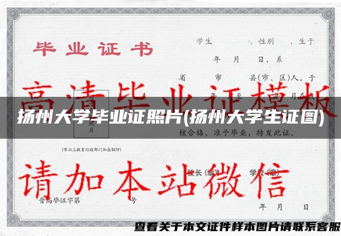 扬州大学毕业证照片(扬州大学生证图)