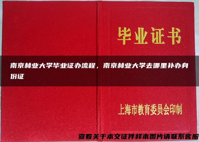 南京林业大学毕业证办流程，南京林业大学去哪里补办身份证