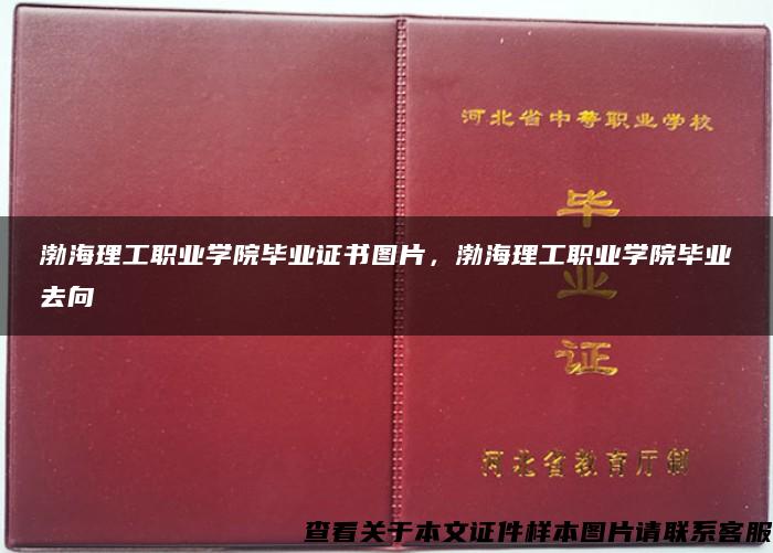 渤海理工职业学院毕业证书图片，渤海理工职业学院毕业去向