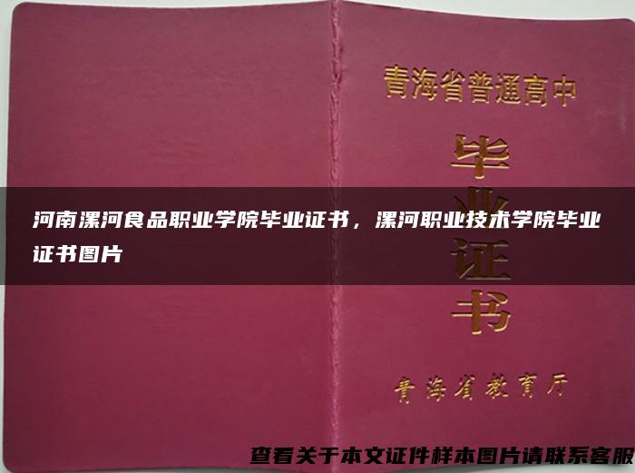 河南漯河食品职业学院毕业证书，漯河职业技术学院毕业证书图片
