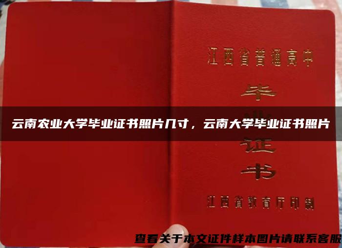 云南农业大学毕业证书照片几寸，云南大学毕业证书照片