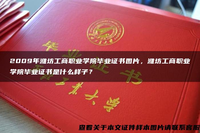 2009年潍坊工商职业学院毕业证书图片，潍坊工商职业学院毕业证书是什么样子？