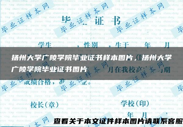 扬州大学广陵学院毕业证书样本图片，扬州大学广陵学院毕业证书图片