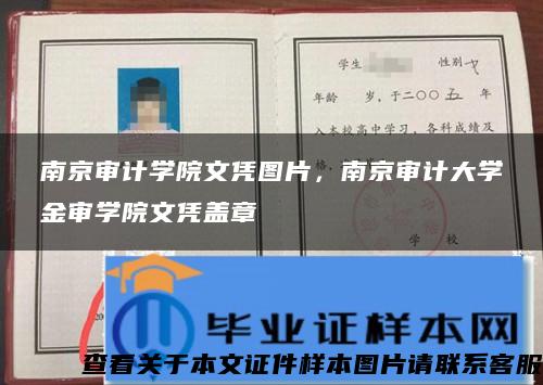 南京审计学院文凭图片，南京审计大学金审学院文凭盖章