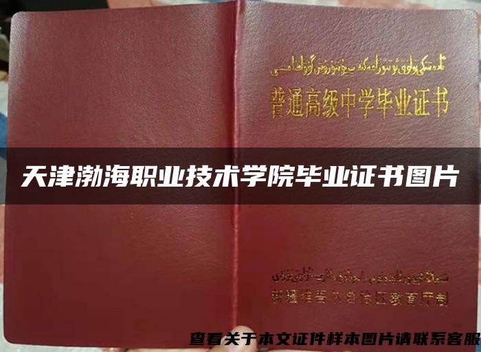 天津渤海职业技术学院毕业证书图片