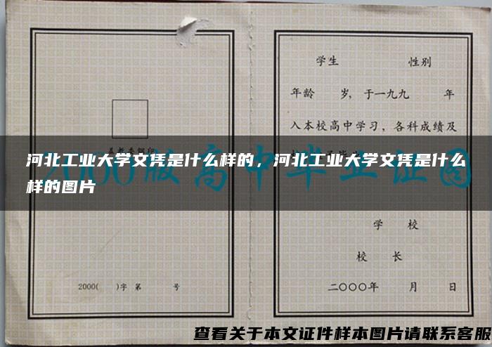 河北工业大学文凭是什么样的,河北工业大学文凭是什么样的图片 河北工业大学文凭是什么样的,河北工业大学文凭是什么样的图片