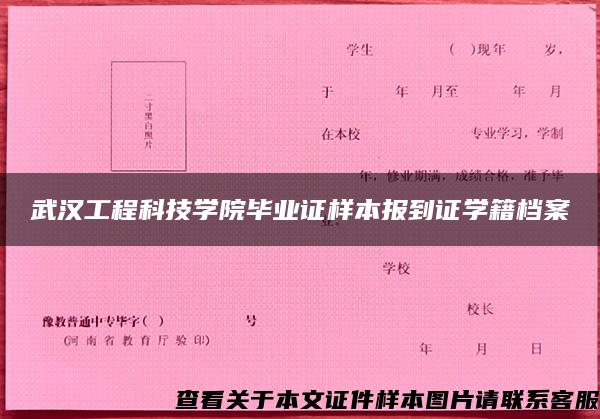 武汉工程科技学院毕业证样本报到证学籍档案