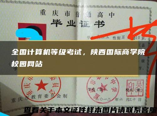 全国计算机等级考试，陕西国际商学院校园网站