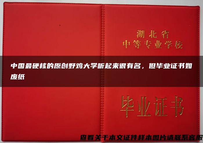 中国最硬核的原创野鸡大学听起来很有名，但毕业证书如废纸