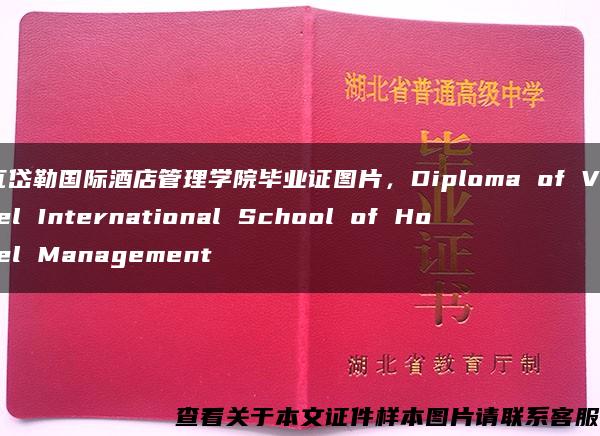 瓦岱勒国际酒店管理学院毕业证图片，Diploma of Vatel International School of Hotel Management