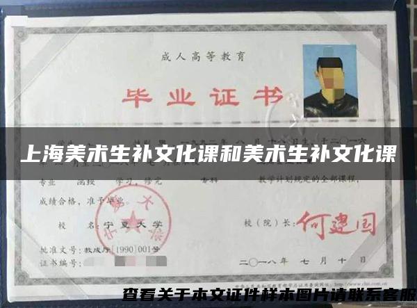 上海美术生补文化课和美术生补文化课 上海美术生补文化课和美术生补文化课