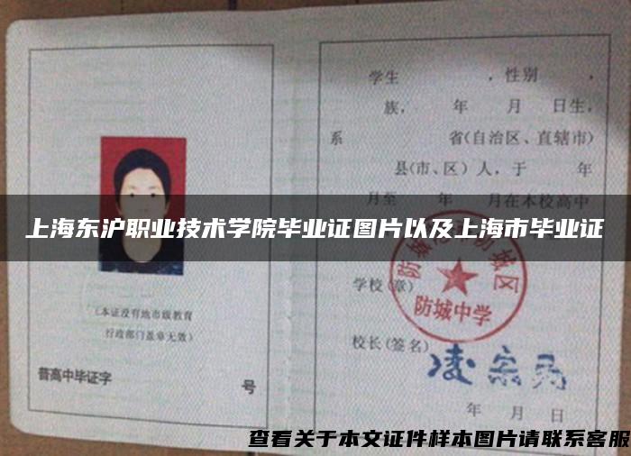 上海东沪职业技术学院毕业证图片以及上海市毕业证