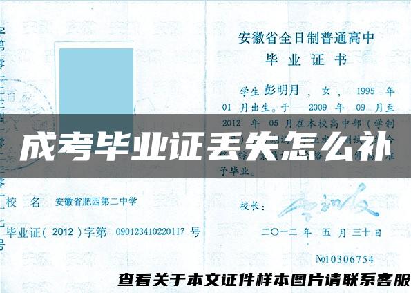 成考毕业证丢失怎么补