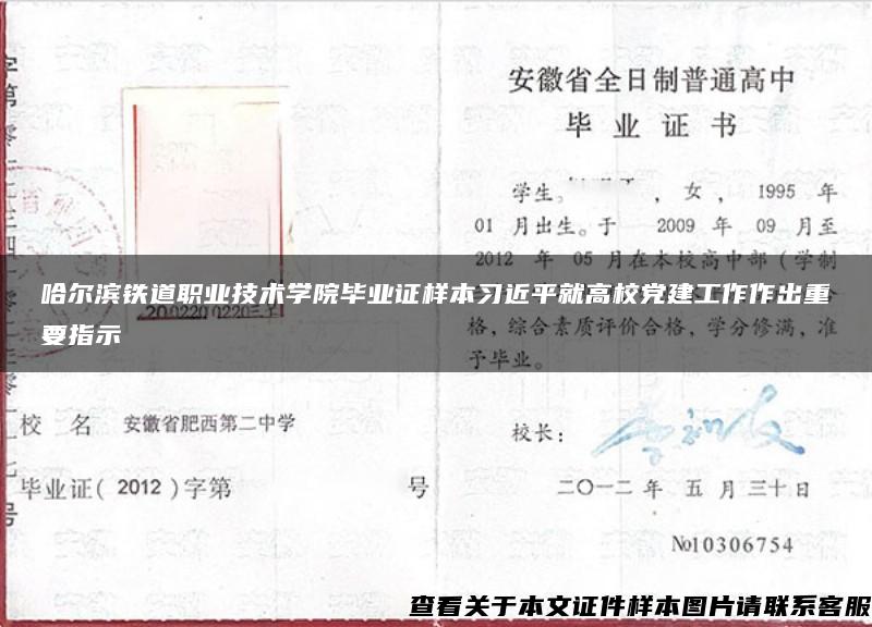 哈尔滨铁道职业技术学院毕业证样本习近平就高校党建工作作出重要指示