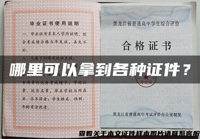 哪里可以拿到各种证件？