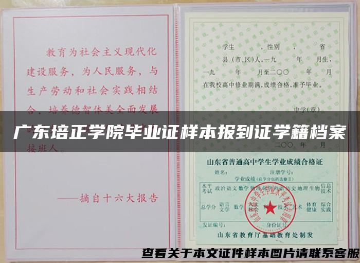 广东培正学院毕业证样本报到证学籍档案