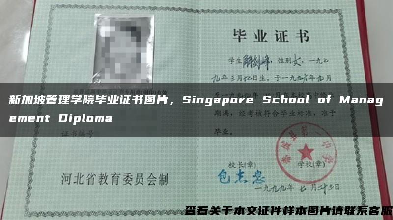 新加坡管理学院毕业证书图片，Singapore School of Management Diploma