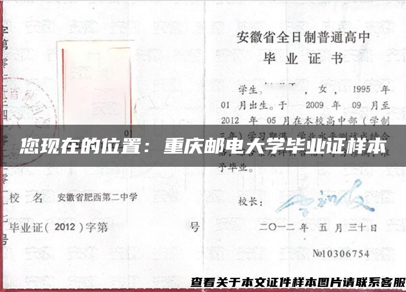 您现在的位置：重庆邮电大学毕业证样本