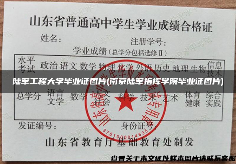 陆军工程大学毕业证图片(南京陆军指挥学院毕业证图片)