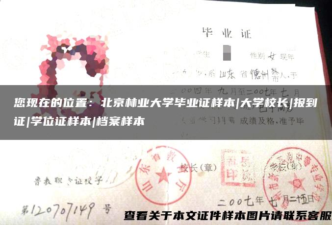 您现在的位置：北京林业大学毕业证样本|大学校长|报到证|学位证样本|档案样本