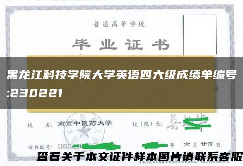 黑龙江科技学院大学英语四六级成绩单编号:230221