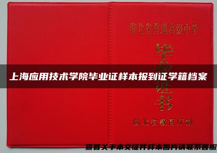 上海应用技术学院毕业证样本报到证学籍档案
