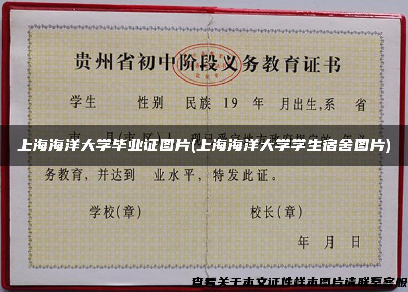 上海海洋大学毕业证图片(上海海洋大学学生宿舍图片)