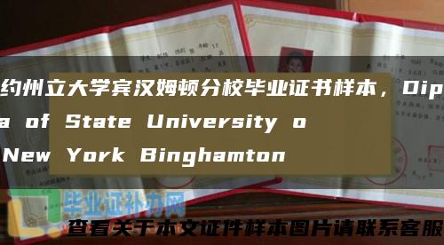 纽约州立大学宾汉姆顿分校毕业证书样本，Diploma of State University of New York Binghamton