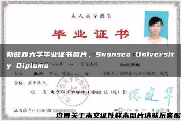 斯旺西大学毕业证书图片，Swansea University Diploma