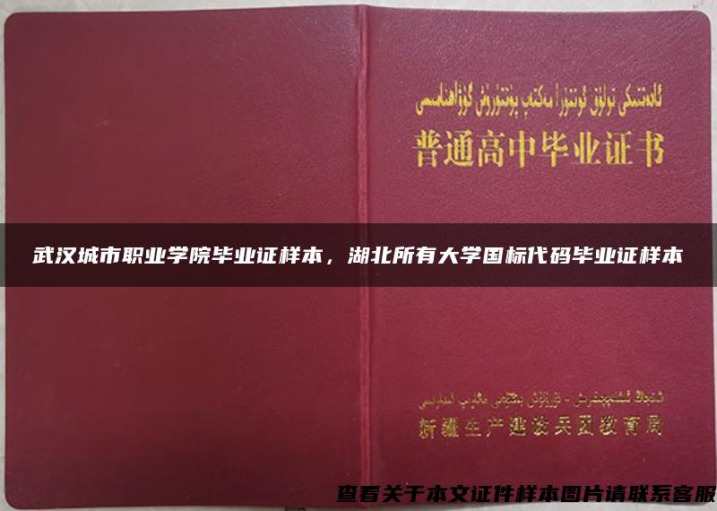 武汉城市职业学院毕业证样本，湖北所有大学国标代码毕业证样本