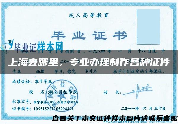 上海去哪里，专业办理制作各种证件