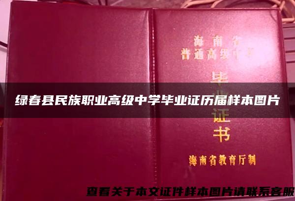 绿春县民族职业高级中学毕业证历届样本图片