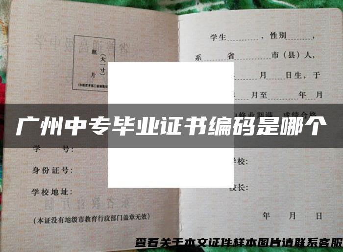 广州中专毕业证书编码是哪个