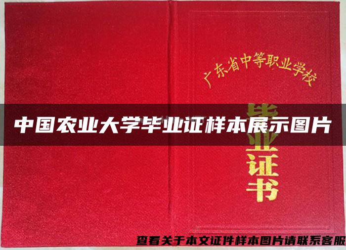 中国农业大学毕业证样本展示图片