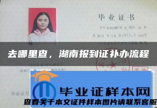 去哪里查,湖南报到证补办流程 去哪里查,湖南报到证补办流程