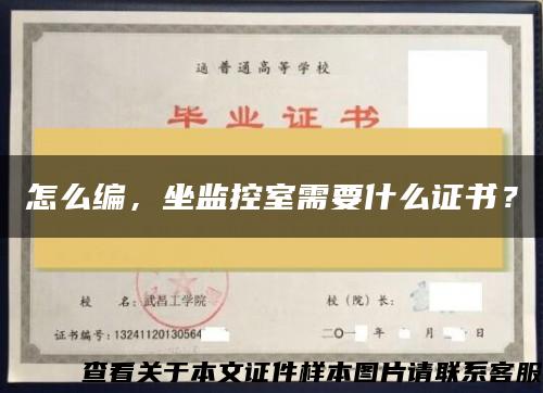 怎么编，坐监控室需要什么证书？