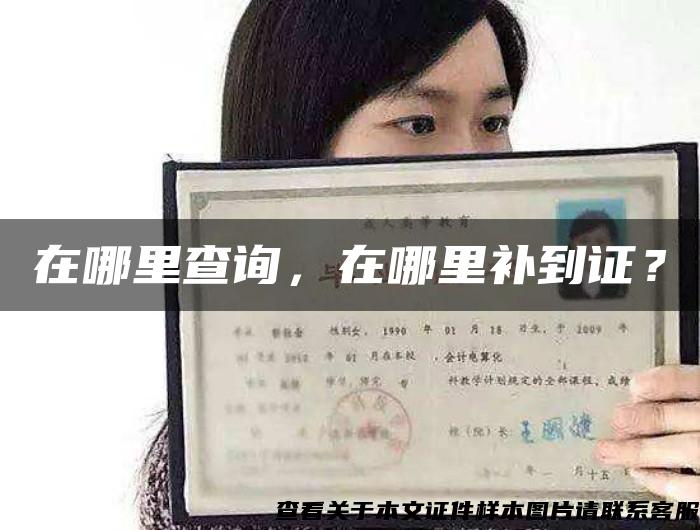 在哪里查询,在哪里补到证? 在哪里查询,在哪里补到证?